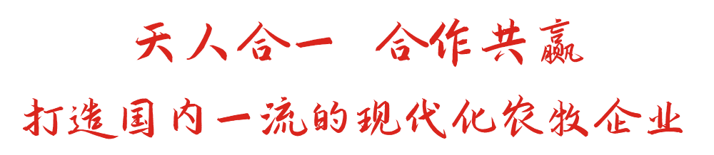 尊凯时龙人生就是博