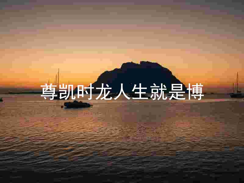 尊凯时龙人生就是博