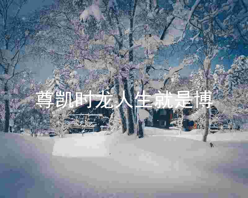 尊凯时龙人生就是博