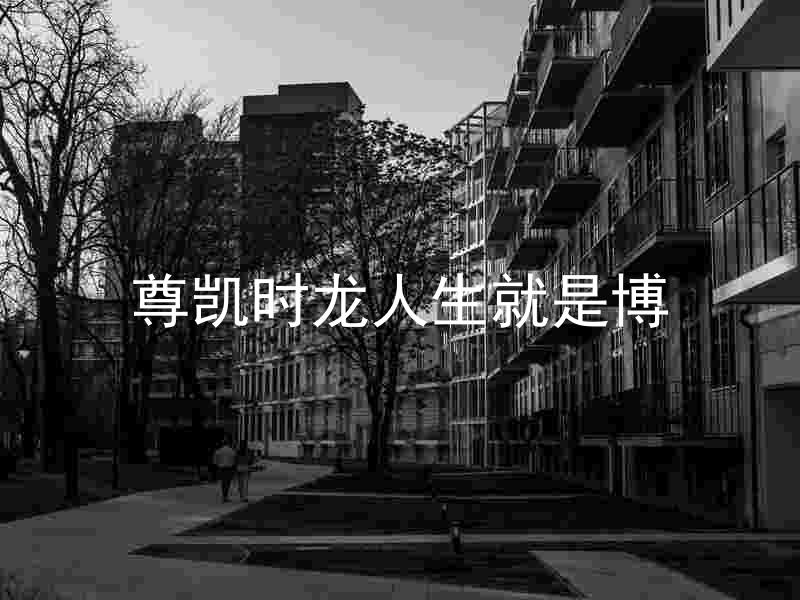 尊凯时龙人生就是博