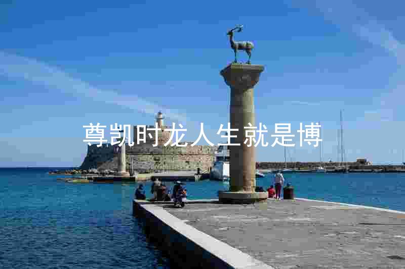 尊凯时龙人生就是博