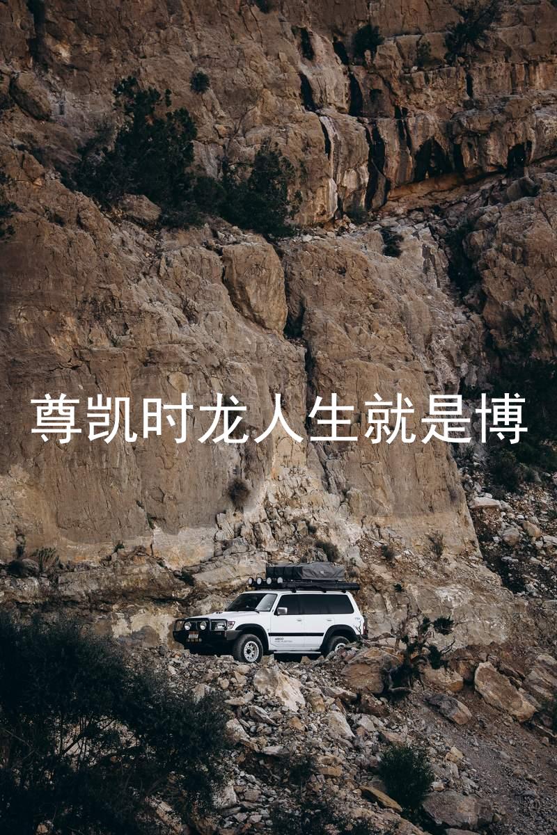 尊凯时龙人生就是博