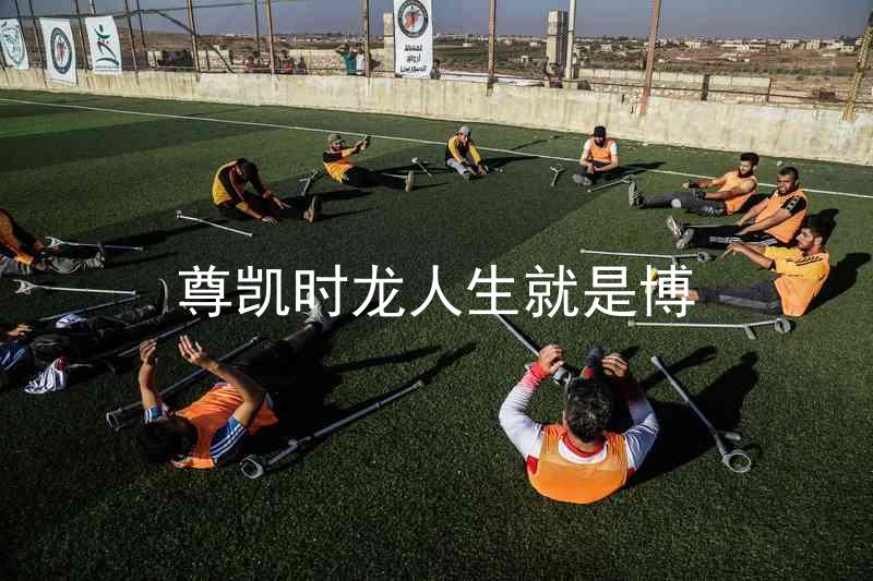 尊凯时龙人生就是博