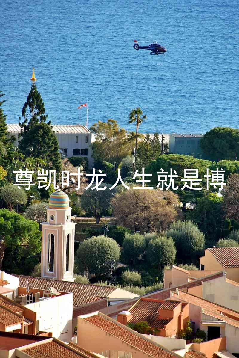 尊凯时龙人生就是博