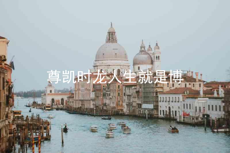 尊凯时龙人生就是博