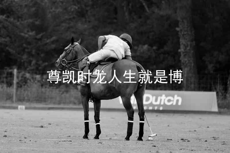 尊凯时龙人生就是博
