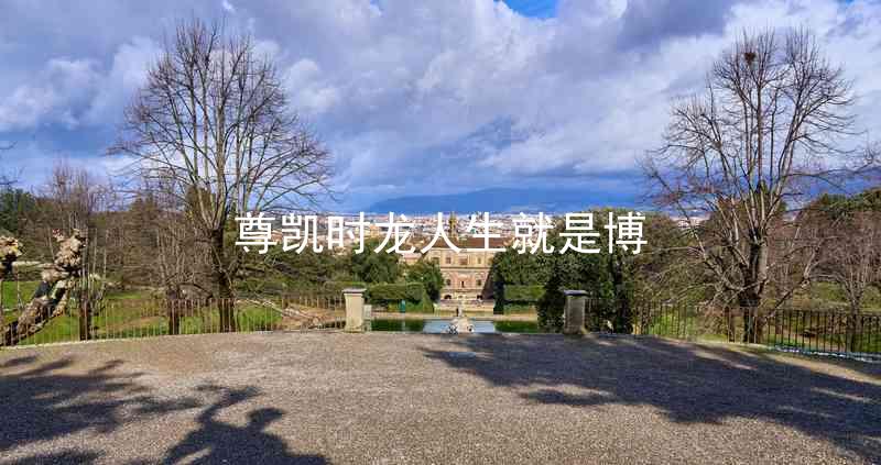 尊凯时龙人生就是博
