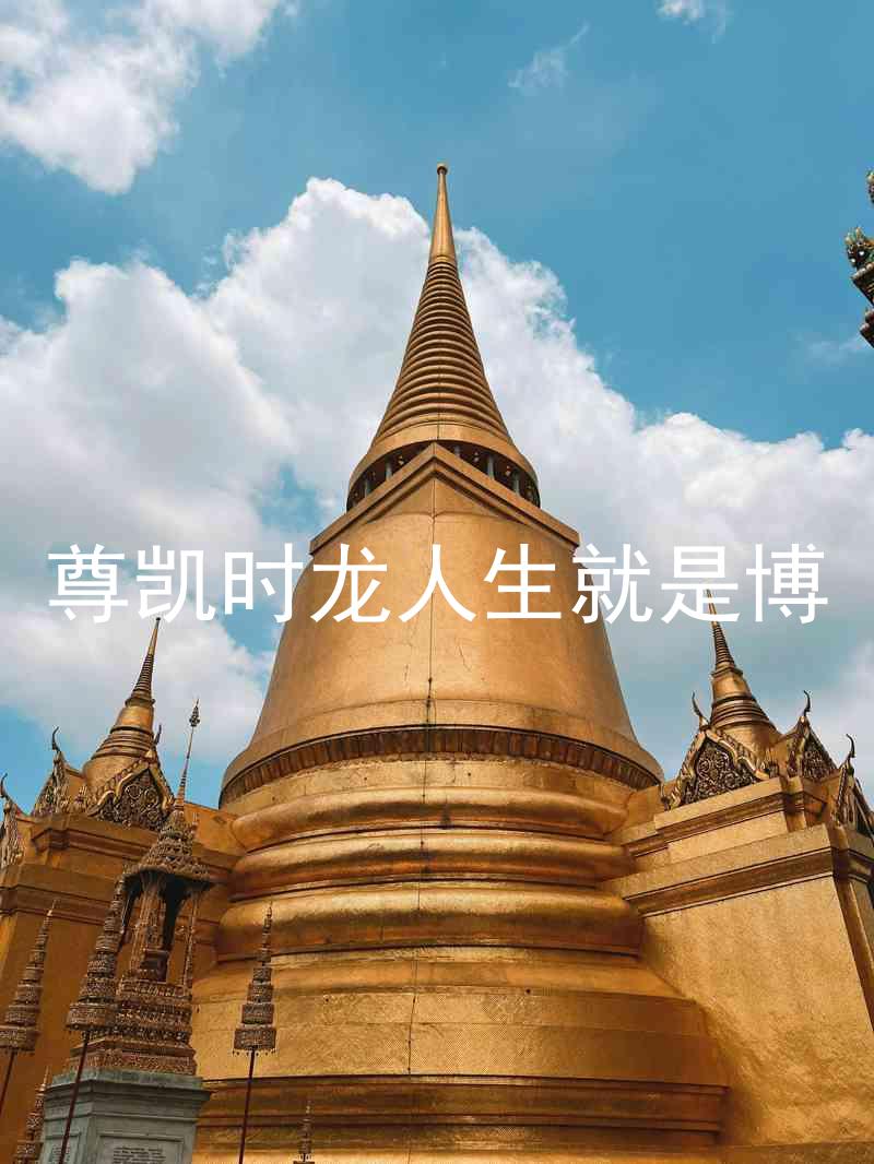 尊凯时龙人生就是博