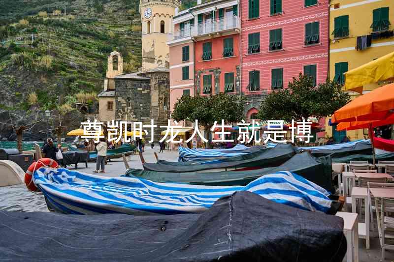 尊凯时龙人生就是博